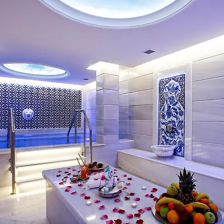 酒店 Anemon Goenlueferah Termal&spa 伯萨