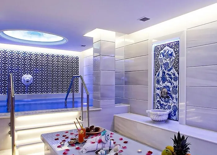 ホテル Anemon Goenlueferah Termal&spa ブルサ