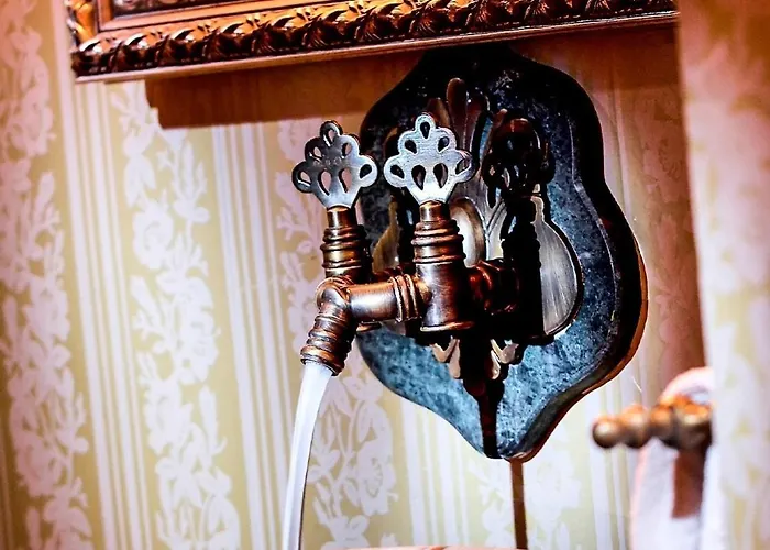 ホテル Anemon Goenlueferah Termal&spa